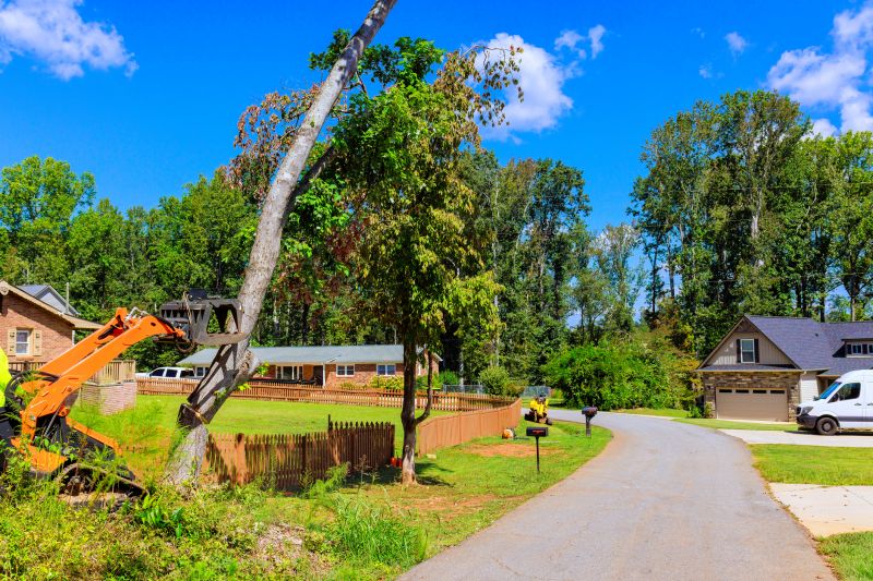 Mulch Removal detail