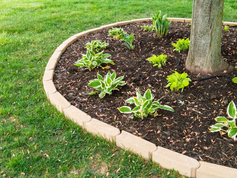 Tree Curbing Installation in Citrus County, FL